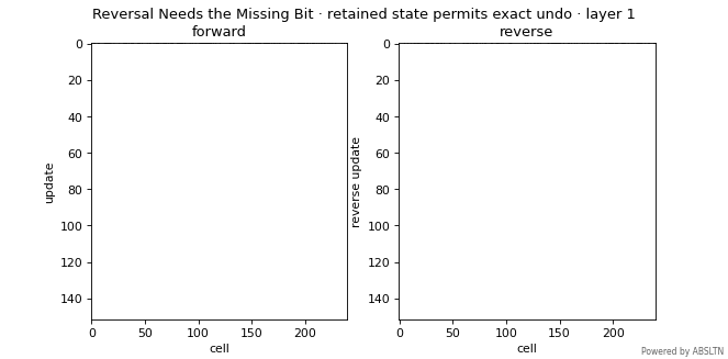 Animated visualization for Reversal Needs the Missing Bit